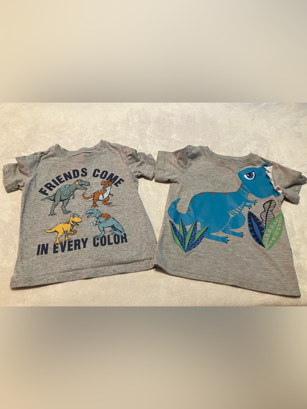 Kids Gray Dinosaur Graphic T-Shirts
